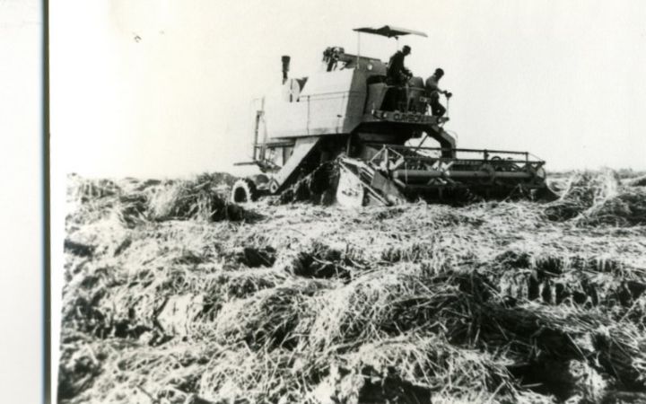 archivos_historicos_x306x