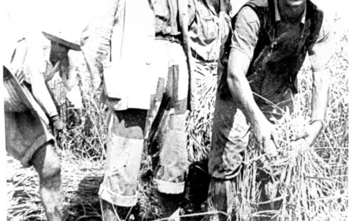 archivos_historicos_x30x