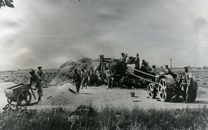 archivos_historicos_x313x