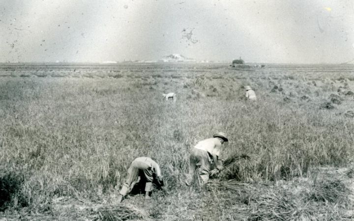 archivos_historicos_x31x