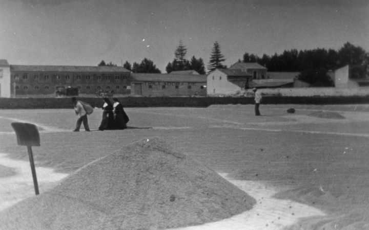 archivos_historicos_x320x