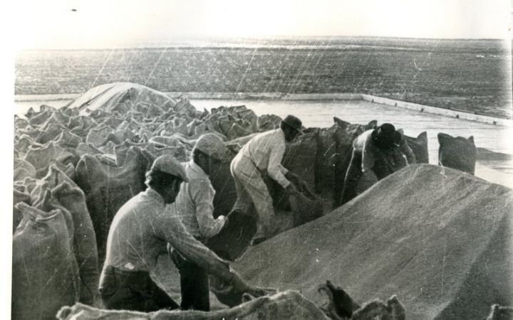 archivos_historicos_x321x