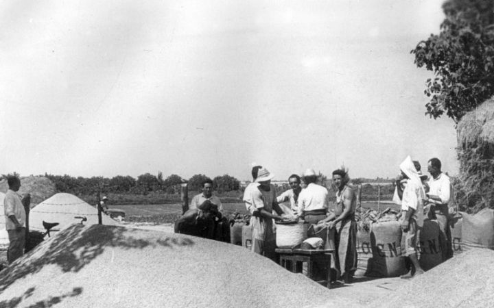 archivos_historicos_x322x