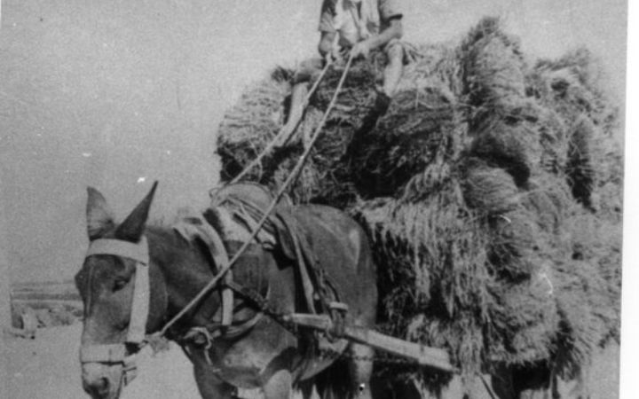 archivos_historicos_x325x