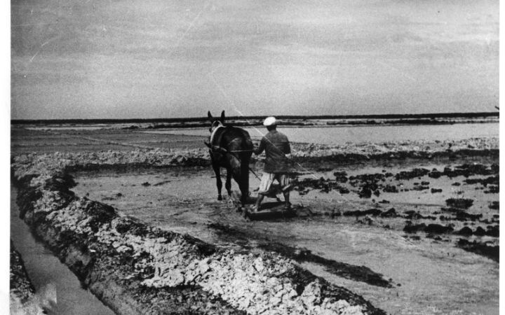 archivos_historicos_x326x