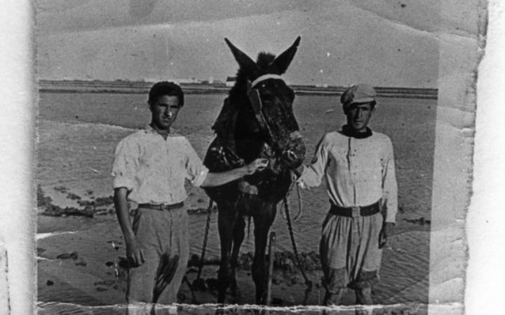 archivos_historicos_x327x