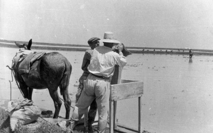 archivos_historicos_x328x