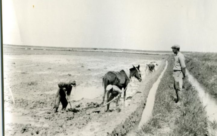 archivos_historicos_x330x