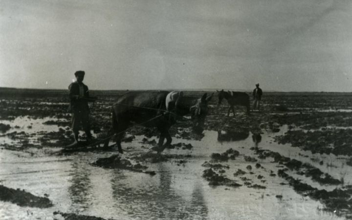 archivos_historicos_x332x