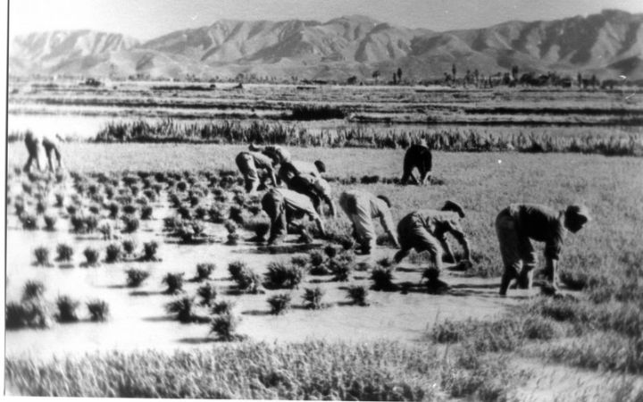 archivos_historicos_x336x