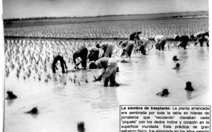 archivos_historicos_x337x