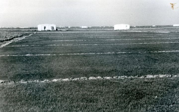 archivos_historicos_x338x