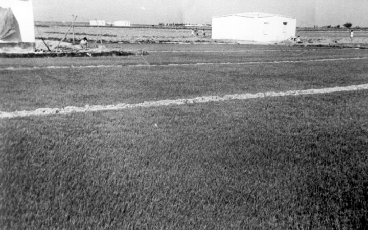 archivos_historicos_x339x