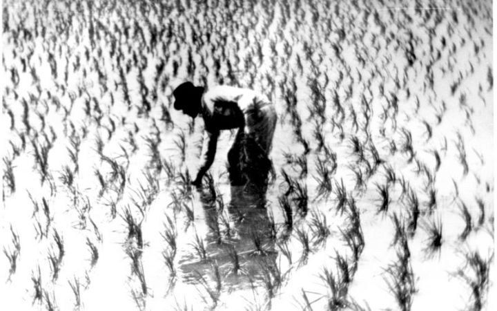 archivos_historicos_x33x