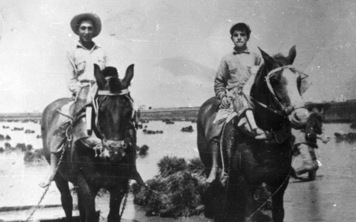 archivos_historicos_x345x