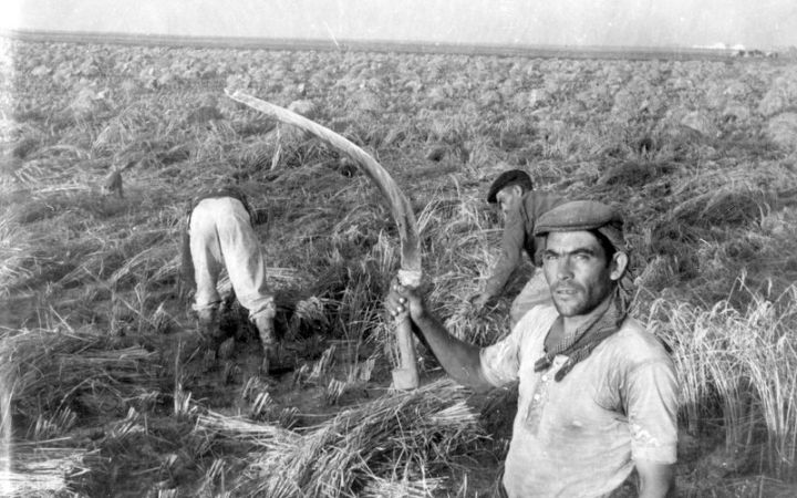 archivos_historicos_x346x