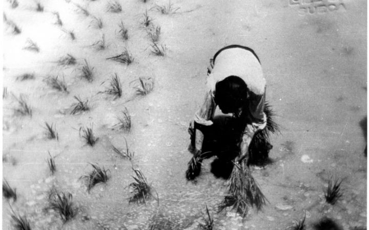 archivos_historicos_x347x