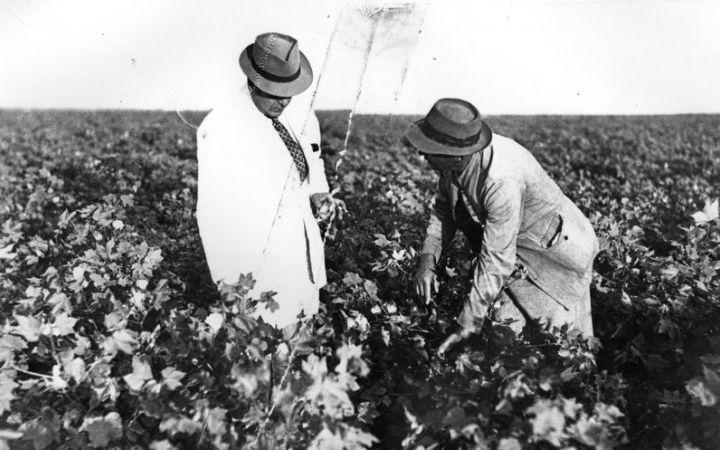 archivos_historicos_x354x