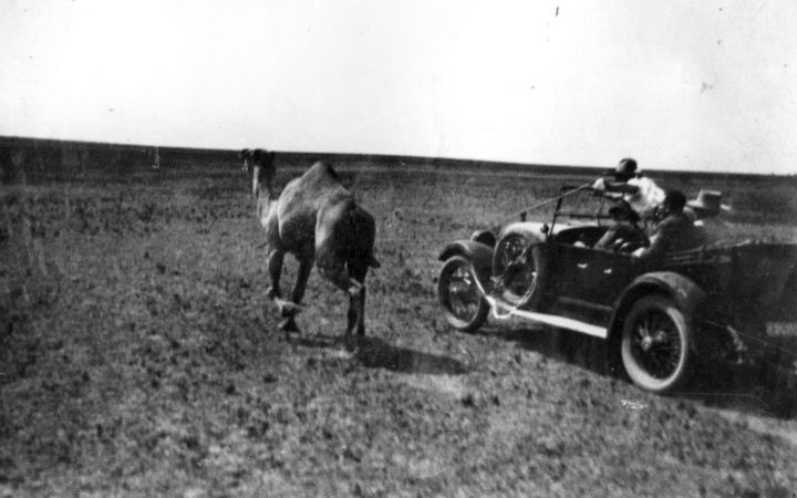 archivos_historicos_x360x