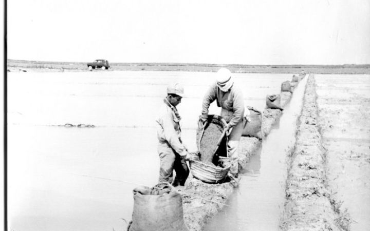 archivos_historicos_x364x