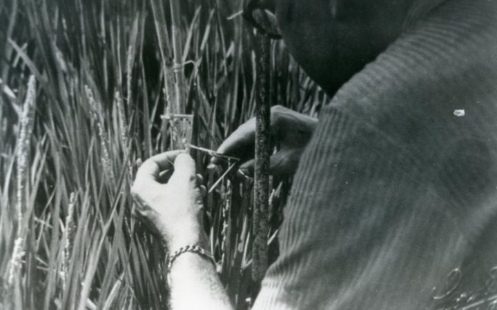 archivos_historicos_x367x