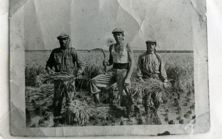 archivos_historicos_x370x