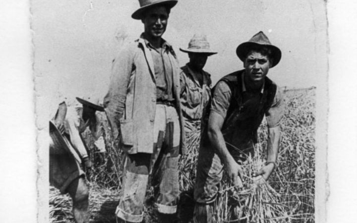 archivos_historicos_x372x