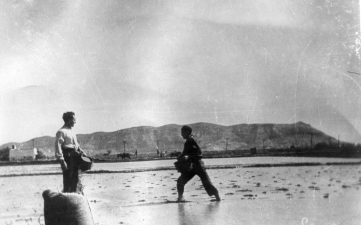 archivos_historicos_x373x