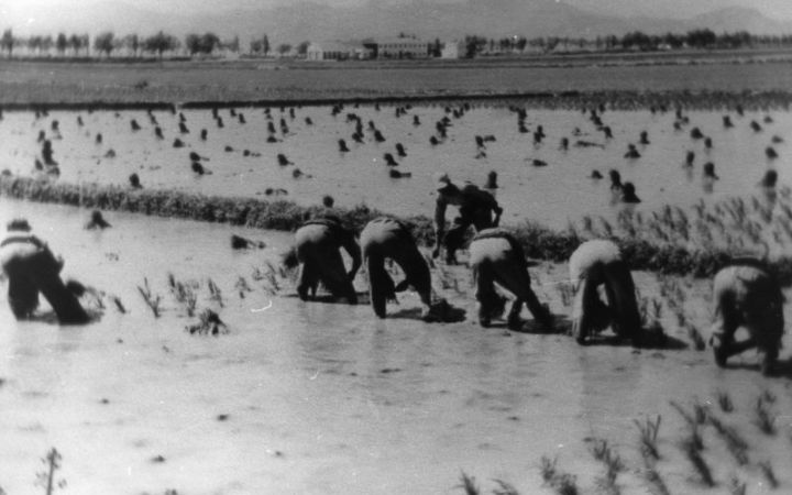 archivos_historicos_x374x