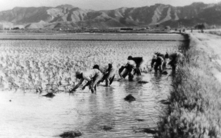 archivos_historicos_x376x