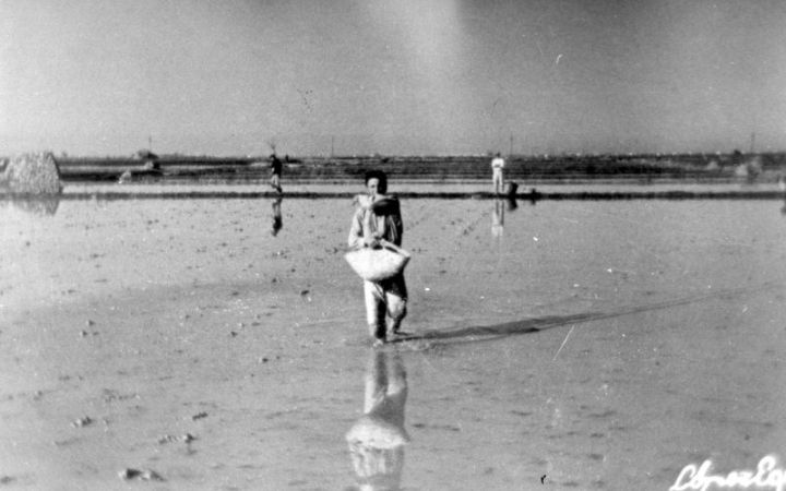 archivos_historicos_x377x