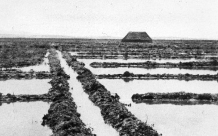 archivos_historicos_x378x