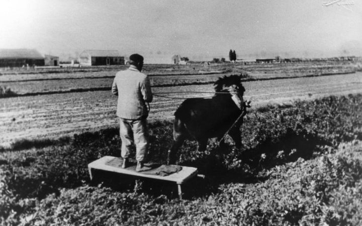 archivos_historicos_x379x