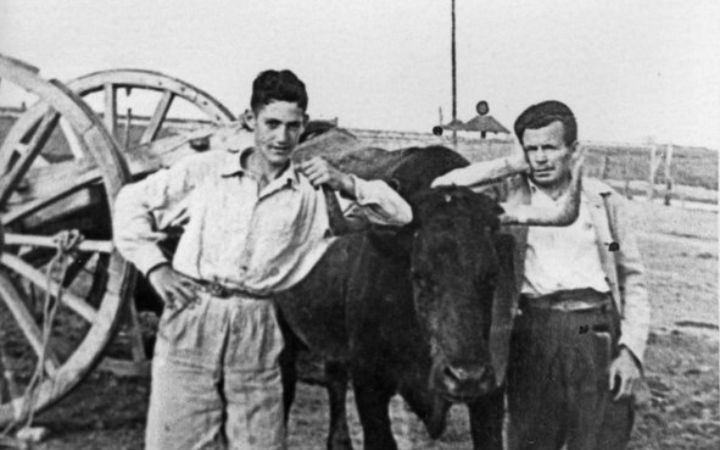 archivos_historicos_x384x