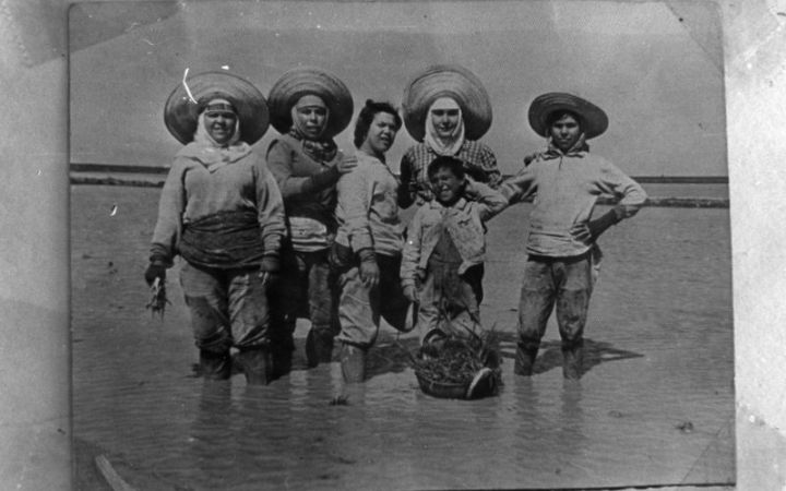 archivos_historicos_x385x