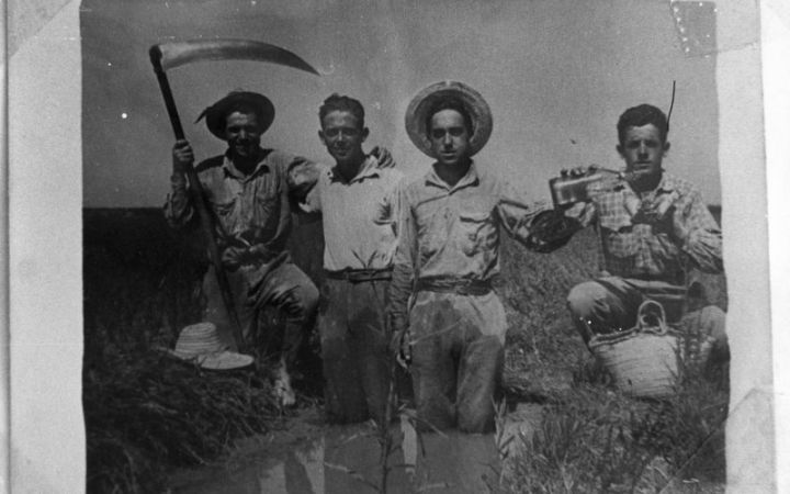 archivos_historicos_x386x