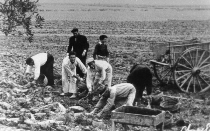 archivos_historicos_x388x