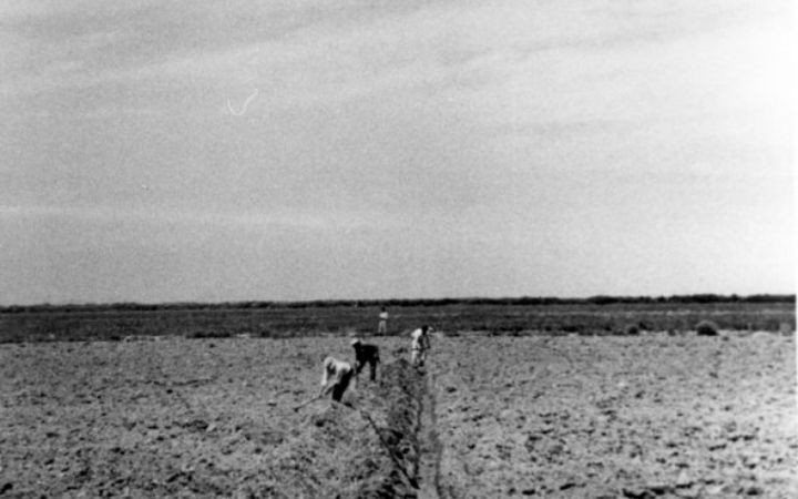 archivos_historicos_x389x