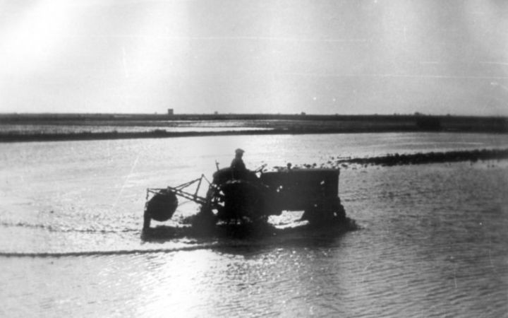 archivos_historicos_x391x