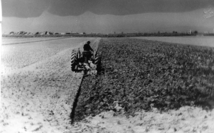 archivos_historicos_x392x