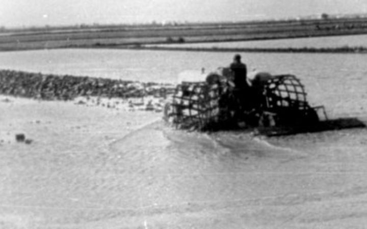 archivos_historicos_x395x