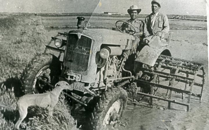 archivos_historicos_x396x