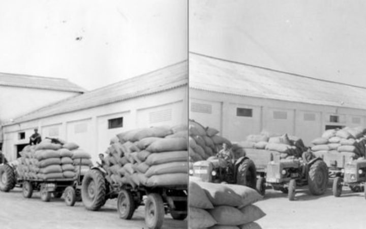 archivos_historicos_x399x