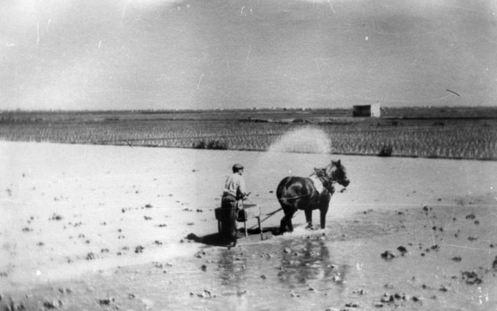 archivos_historicos_x3x