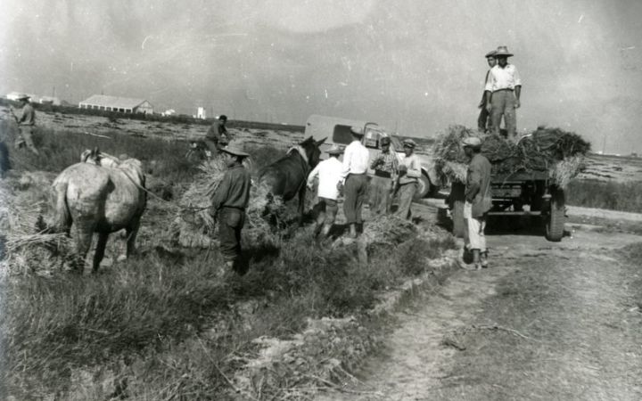 archivos_historicos_x401x