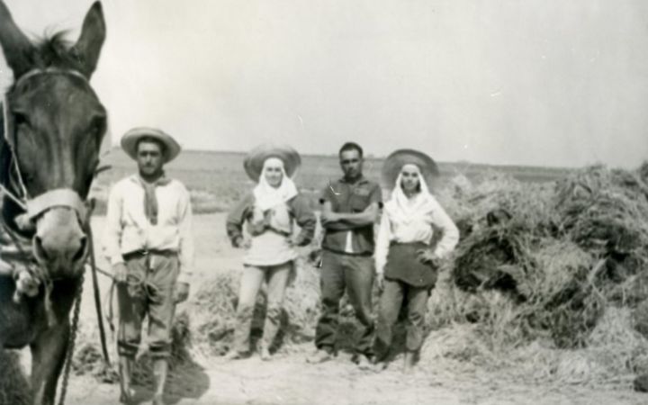 archivos_historicos_x402x