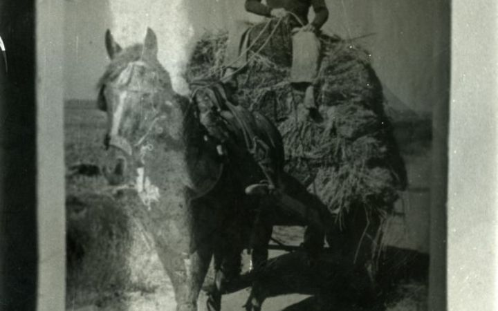 archivos_historicos_x403x