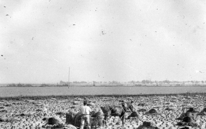 archivos_historicos_x404x