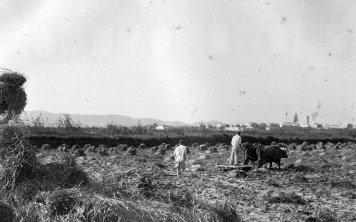 archivos_historicos_x406x