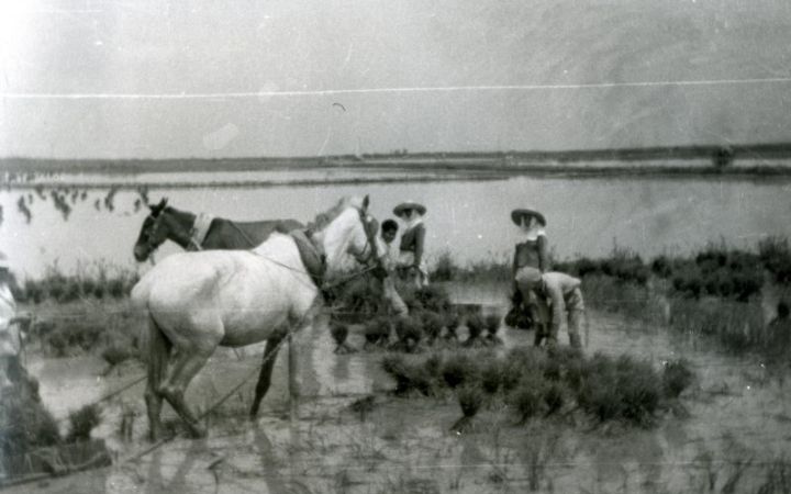 archivos_historicos_x407x